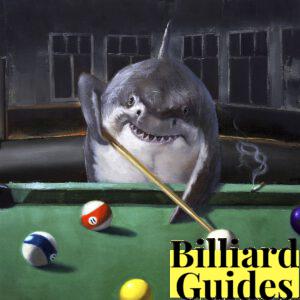 Pool Shark 101: History of Hustlers, Psychology & How to Beat Them (2026)